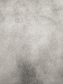 Мокрая кожа PSV Skin 155 г/м (Ширина 150 см) (beige), 1 метр